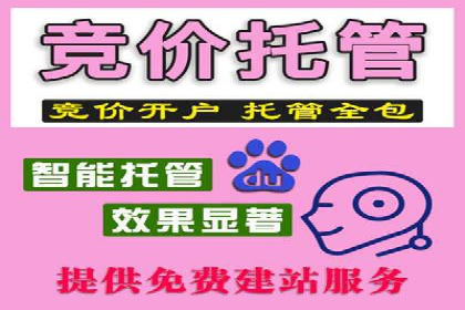 百度推广操作指南：案例解析