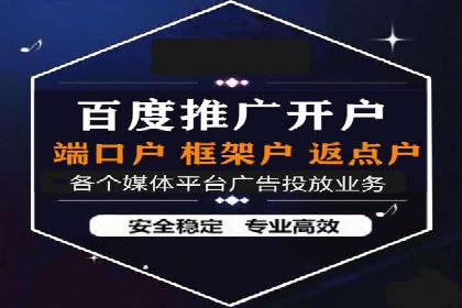 某企业通过百度推广服务费实现品牌飞跃